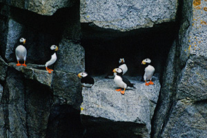 Discovery Hike & Kayak Voyage