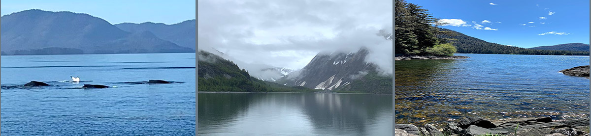 Our Alaska vacation